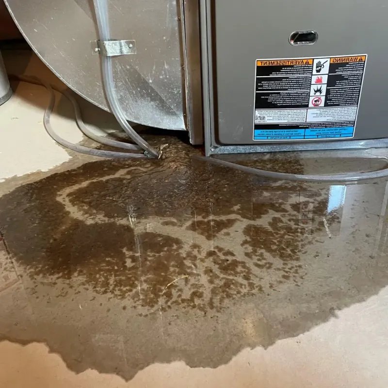 Pipe Burst and Leak Restoration in Jefferson County, TN