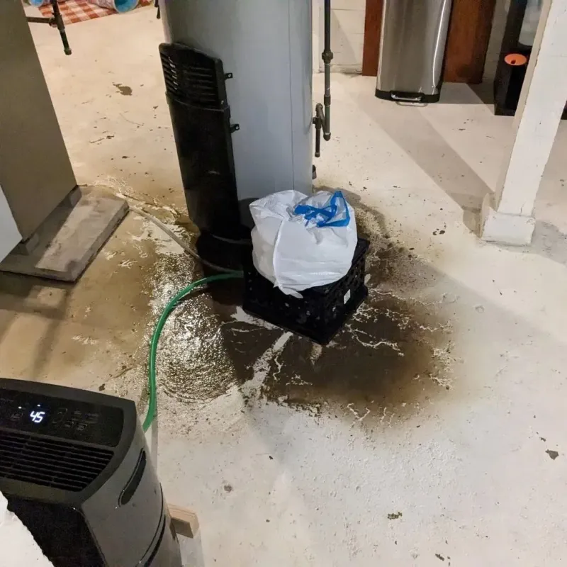 Sewage Backup Cleanup Service in Jefferson County, TN